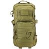 Small Molle Assault Pack 28 Litre - Coyote